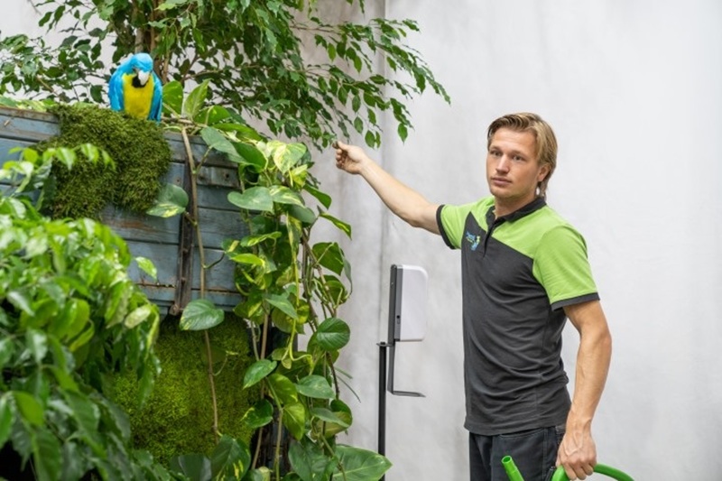 Roessink Interieurbeplanting